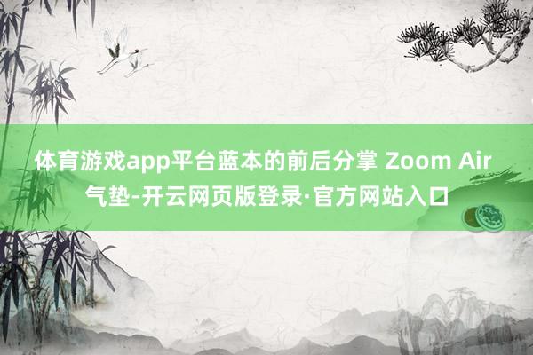 体育游戏app平台蓝本的前后分掌 Zoom Air 气垫-开云网页版登录·官方网站入口