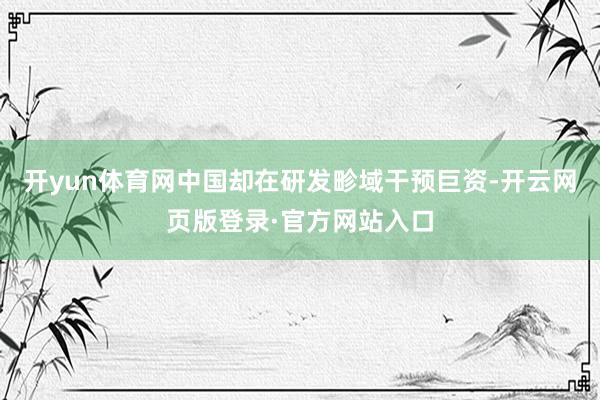 开yun体育网中国却在研发畛域干预巨资-开云网页版登录·官方网站入口